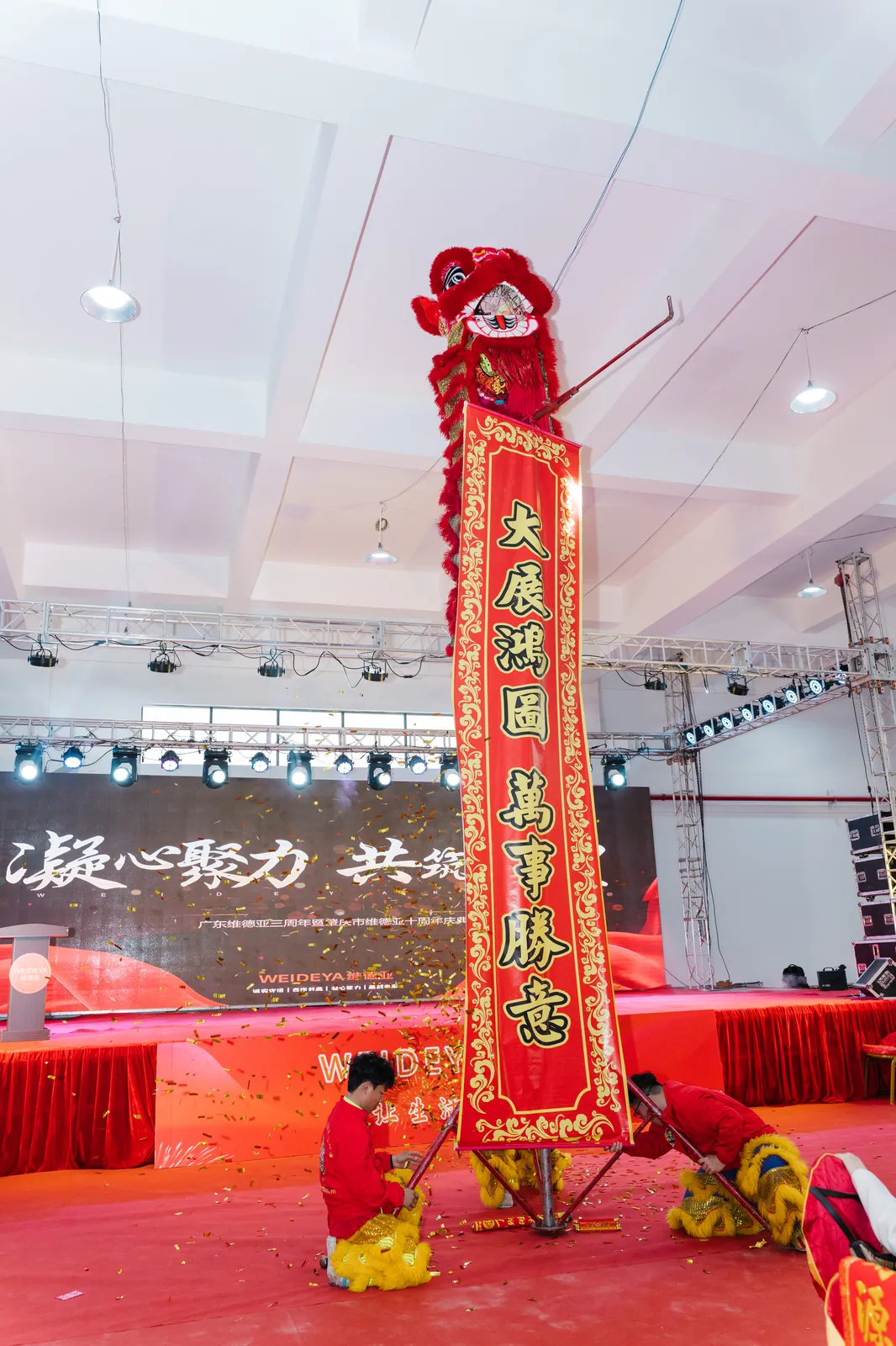 维德亚 2026 新春年会