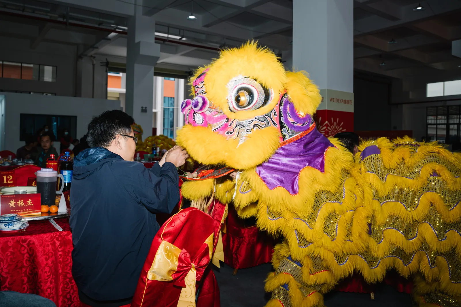 维德亚 2026 新春年会